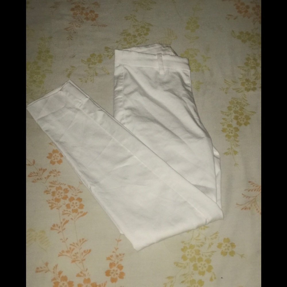 Dress pants
